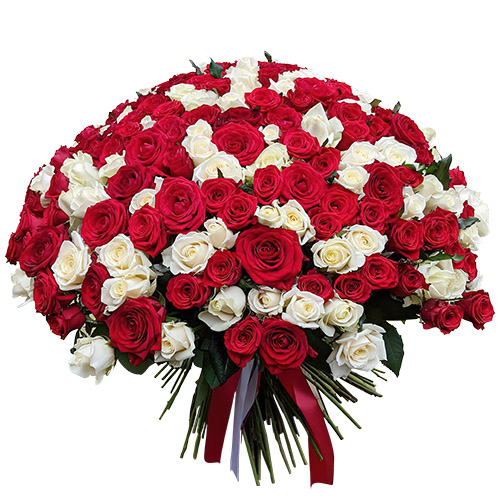 Фото товара 201 червона і біла троянда в Черкассах