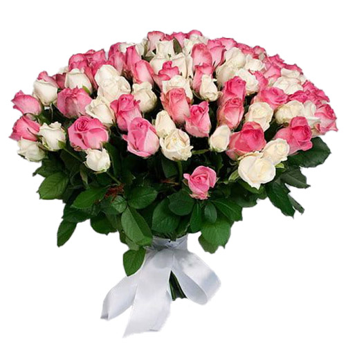 Фото товара 101 біла і рожева троянда в Черкассах