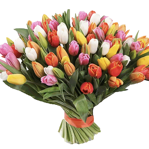 Фото товара 101 різнокольоровий тюльпан в Черкассах