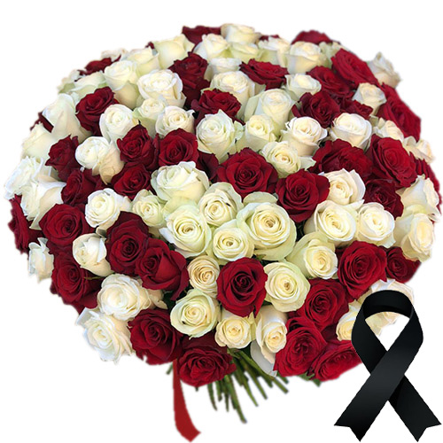 Фото товара 100 червоно-білих троянд в Черкассах