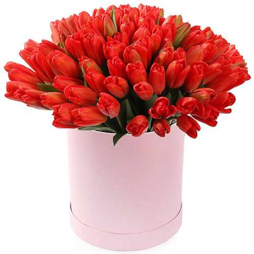 Фото товара 101 червоний тюльпан у коробці в Черкассах