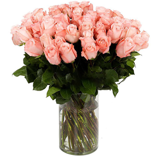 Фото товара Троянда імпортна рожева (поштучно) в Черкассах