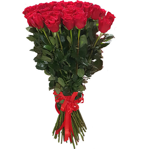 Фото товара 25 метровых роз "Фридом" в Черкассах
