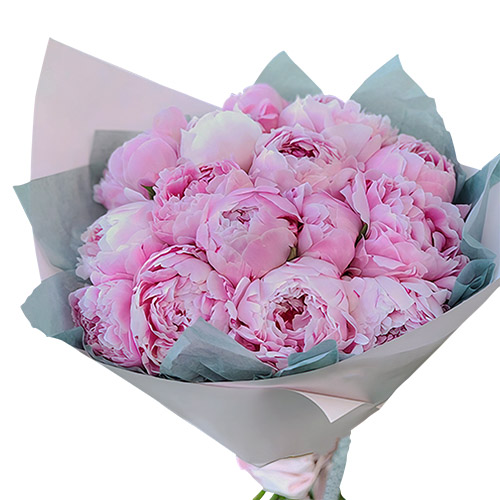 Фото товара 19 розовых пионов в Черкассах