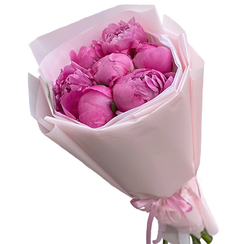 Фото товара 7 розовых пионов в Черкассах
