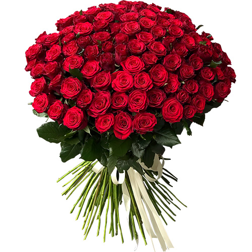 Фото товара 101 троянда червона в Черкассах