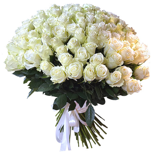 Фото товара 101 белая импортная роза в Черкассах