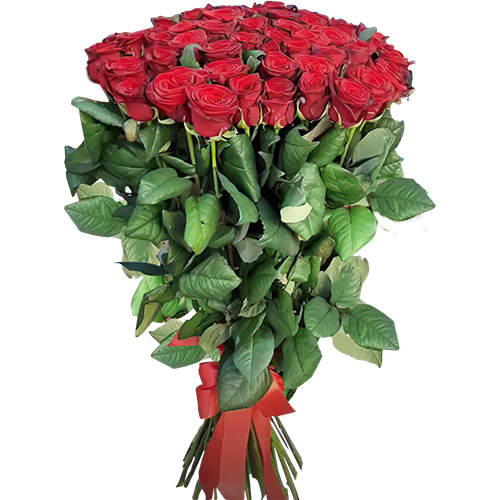 Фото товара Букет троянд 51 червона в Черкассах