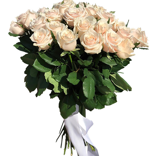 Фото товара Букет из 33 кремовых роз в Черкассах