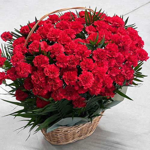 Фото товара 100 гвоздик у кошику в Черкассах